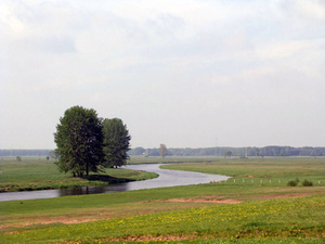 Ilustracja: ARiMR zamawia opracowanie wektorowych warstw obiektów wodnych <br />
fot. JK