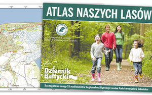 Ilustracja: Mapy pomorskich lasów z Dziennikiem Bałtyckim