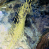 Ilustracja: <b class=pic_title>Erg Iguidi w Mauretanii, Sahara. Czwarte miejsce w plebiscycie "Earth as Art".</b> <br />
<br />
<b class=pic_author>fot.  NASA's Goddard Space Flight Center/USGS</b><br />
<br />
