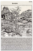 Ilustracja: 1493
