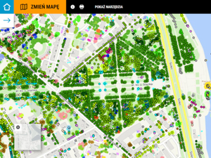 Ilustracja: Mapa pni warszawskich drzew