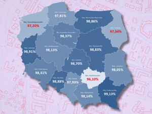 Ilustracja: Monitoring dostępności usług WFS. Podsumowanie 2024 r.