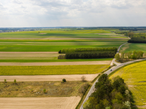 123 oferty złożone w kontroli na miejscu 2025
Fot. Wip-studiolublin przez Canva.com Ilustracja: 123 oferty złożone w kontroli na miejscu 2025 <br />
Fot. Wip-studiolublin przez Canva.com