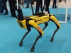 Ilustracja: <b class=pic_title>Intergeo 2022: drony</b> <br />
<br />
<b class=pic_description>Między gośćmi targów pewnie spacerował autonomiczny robot Spot wyposażony w najnowsze wydanie skanera laserowego BLK360 firmy Leica Geosystems</b> <br />
<br />
<b class=pic_author>fot.  Jerzy Królikowski</b><br />
<br />
